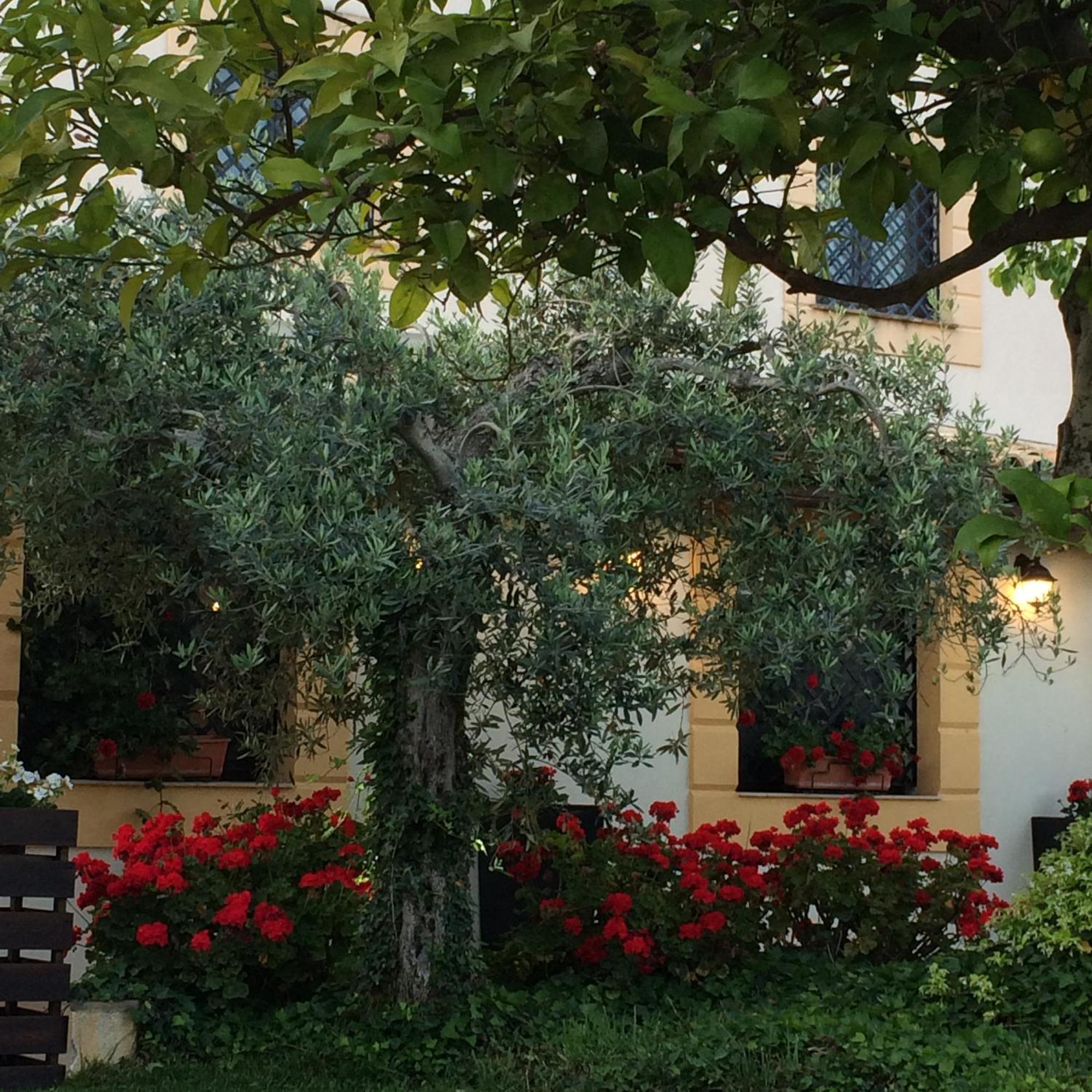 Villa Dimora La Grazia à Castelvetrano Extérieur photo